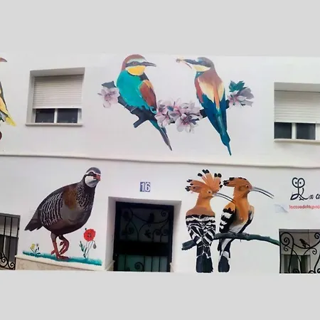 La Casa De Pajaros